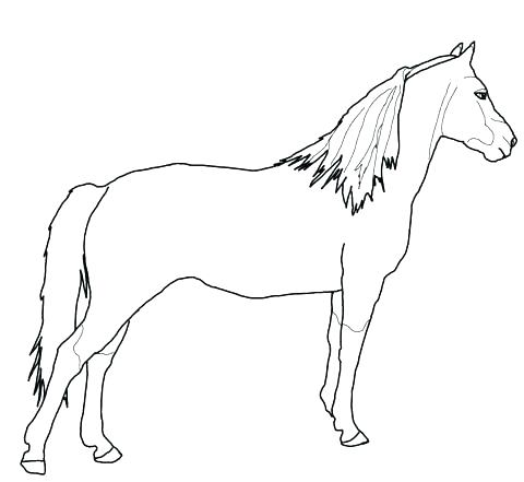 480x441 Horse Head Coloring Page Horse Head Coloring Pages Horse Printable