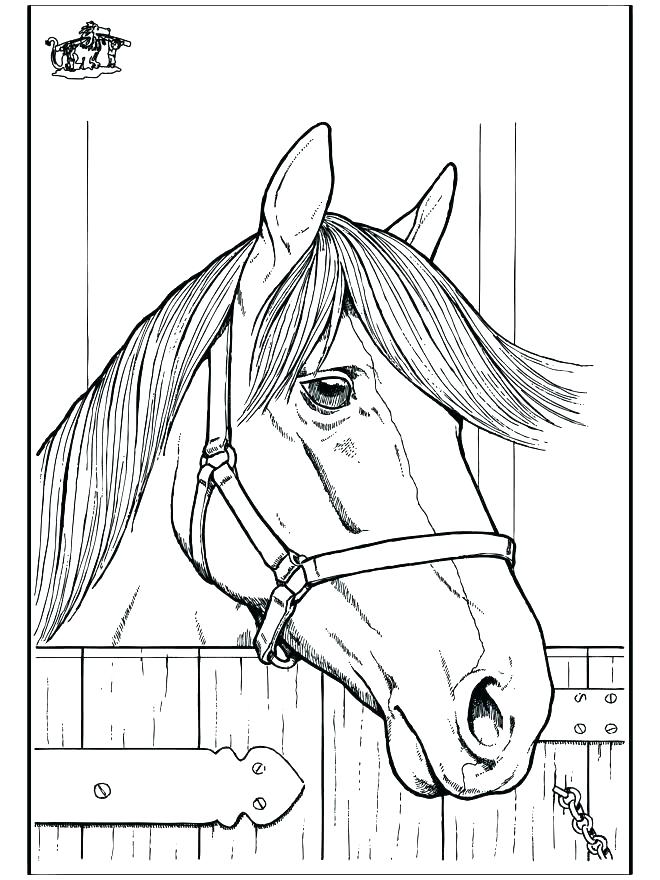 660x880 Horse Head Coloring Page Simple Horse Coloring Pages Horse Head