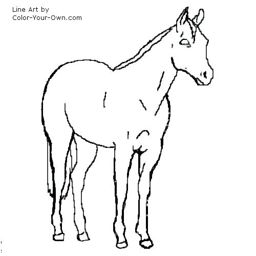 500x500 American Quarter Horse Coloring Pages Fuhrer Von