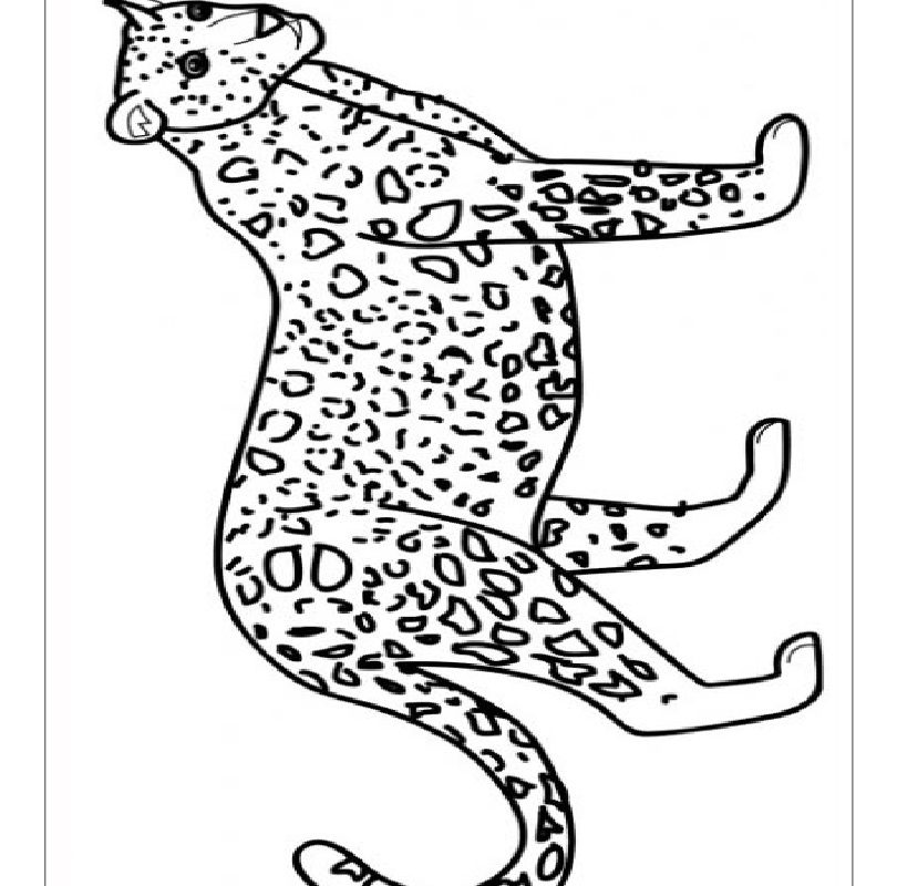 810x800 Jaguar Coloring Page Beautiful Car Colouring Pages Realistic Baby