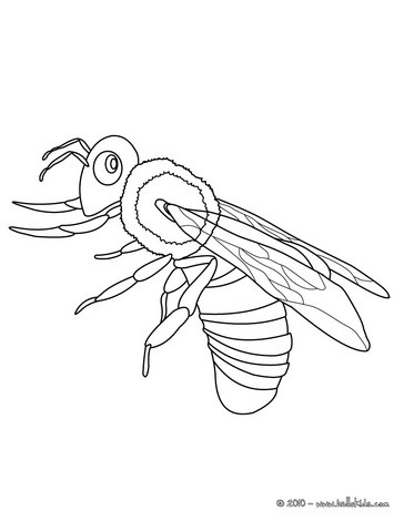 Queen Bee Coloring Page