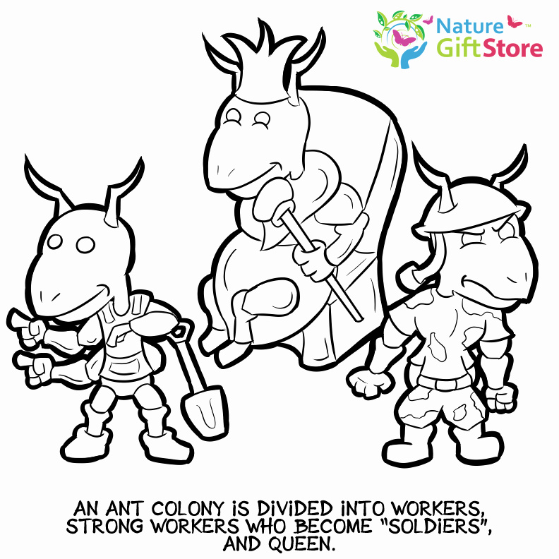 792x792 Queen Chrysalis Coloring Pages Luxury Printable Coloring Pages