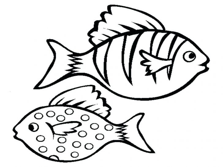 728x546 Queen Chrysalis Coloring Pages Tropical Fish Page For Preschoolers
