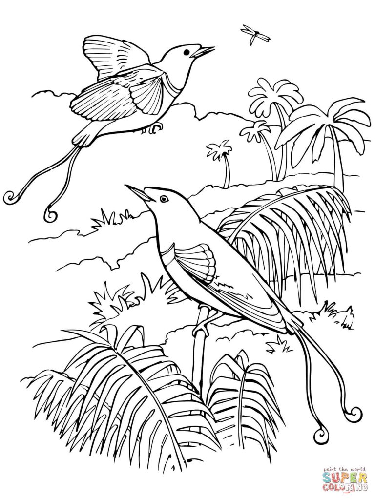 768x1024 Quetzal Animal Coloring Pages