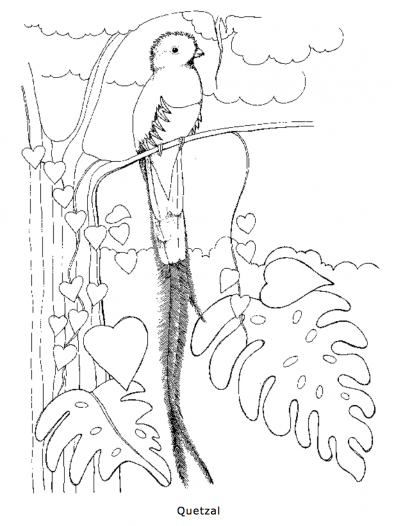 400x526 Quetzal Coloring Page Rainforest Alliance