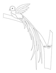 236x305 Resplendent Quetzal Jungle Bird Coloring Page Courtesy Of Jan