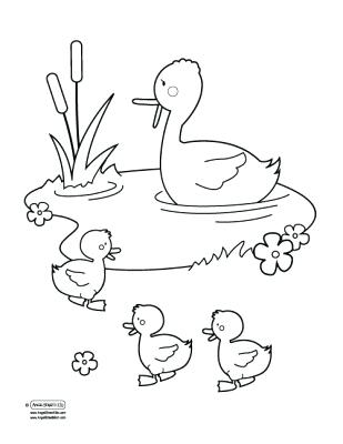 309x400 Duck Pond Coloring Page Quiet Book Ideas Duck Pond Duck Pond