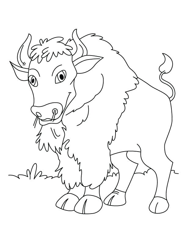 612x792 Calm N Quiet Bison Coloring Pages Download Free Calm N Quiet Calm