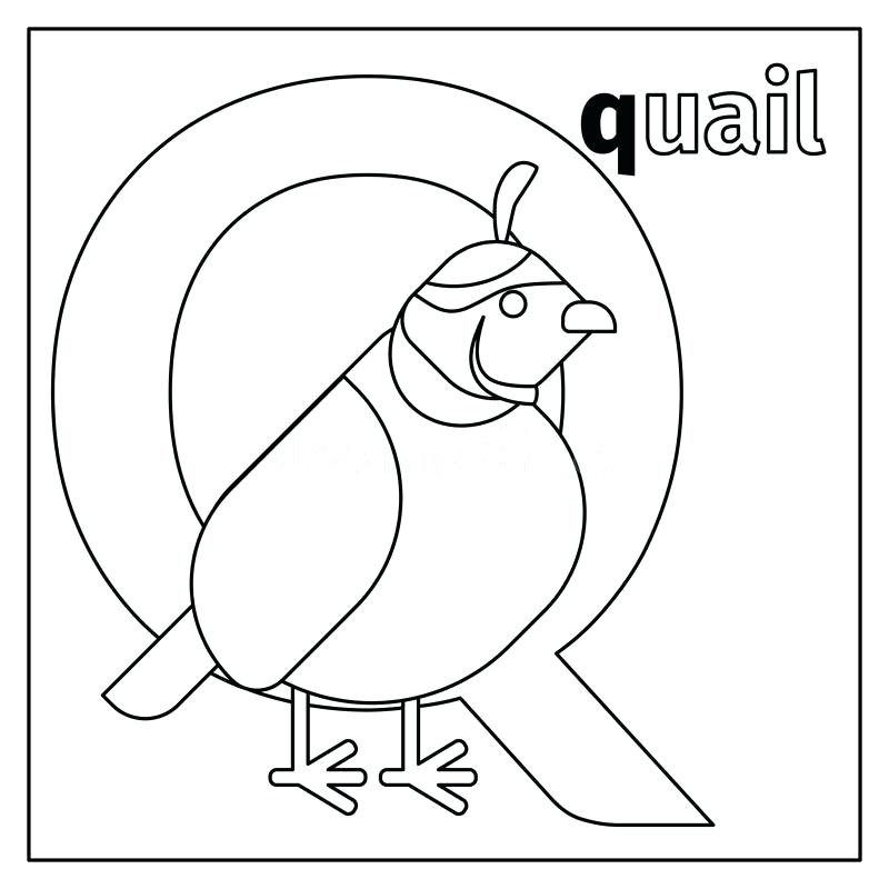 800x800 Coloring Pages For Kids Online Alphabet Letter Q For Quiet