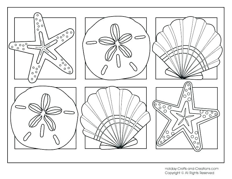 800x618 Sea Shell Coloring Page Quill Pencil Coloring Page Sea Shell