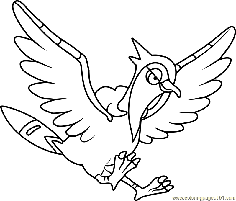 800x681 Quill Coloring Pages