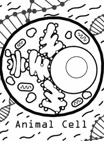 338x458 Quiver Education Starter Archives
