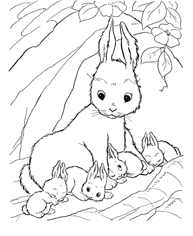 Rabbit Coloring Pages