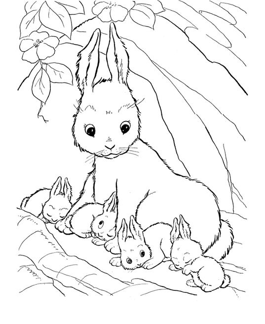 537x656 Rabbit Coloring Page Amp Coloring Book
