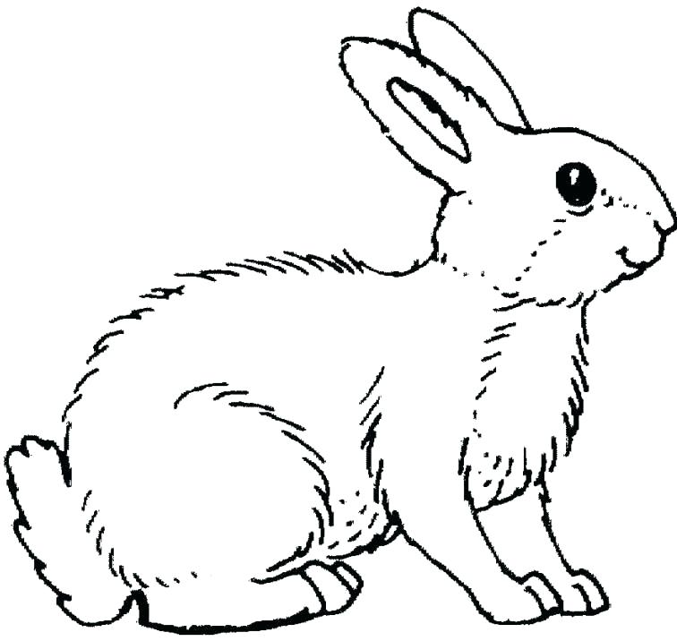756x716 Coloring Pages Bunnies Coloring Pages Of Bunnies Plus Rabbit
