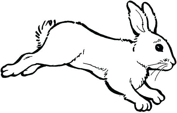 600x383 Easter Bunny Coloring Pages For Adults Bunny Rabbit Coloring Pages