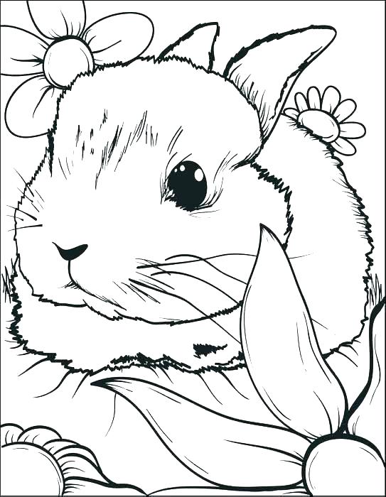 543x700 Easter Rabbit Colouring Pages Rabbit Coloring Page Rabbit Coloring