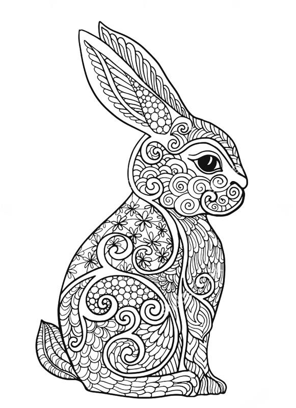 581x800 237 Best Coloring Rabbit Images On Adult Coloring