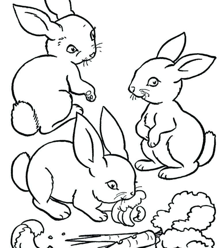 768x864 Easter Bunny Coloring Pages Free Printable Bunny Coloring Page