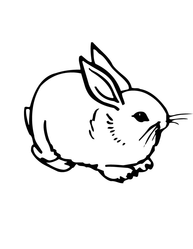 820x1060 Great Rabbit Coloring Sheet Coloring Page Gallery