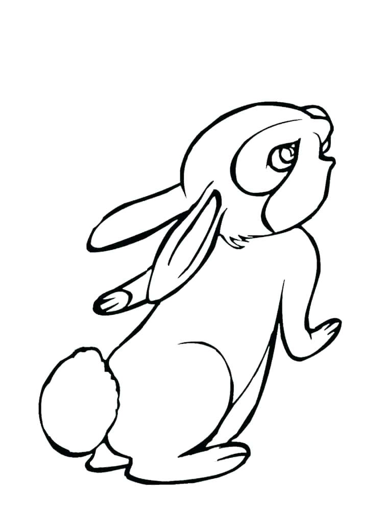 750x1000 Peter Rabbit Coloring Pages Or Rabbit For Coloring Rabbit Color