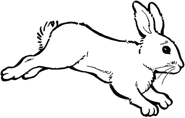 600x383 Printable Bunny Coloring Pages Bunny Printable Coloring Pages