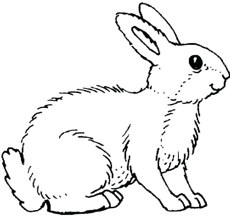 756x716 Bunny Coloring Page Bunny Coloring Page Bunnies Coloring Pages
