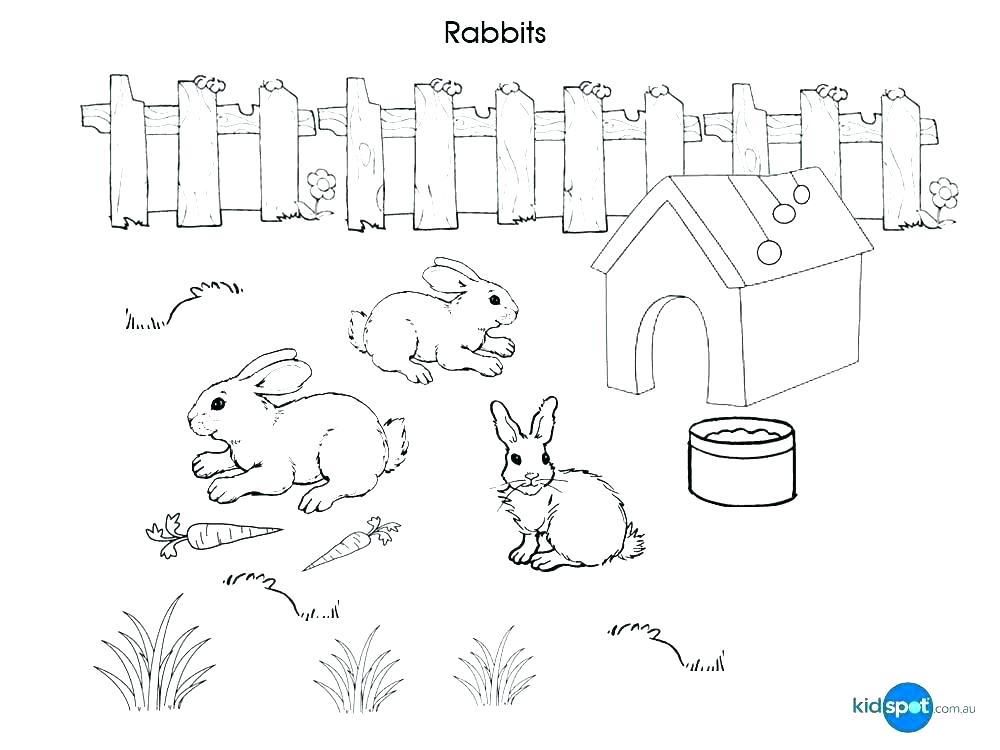 1000x750 Roger Rabbit Coloring Pages Peter Rabbit Coloring Pages Rabbit