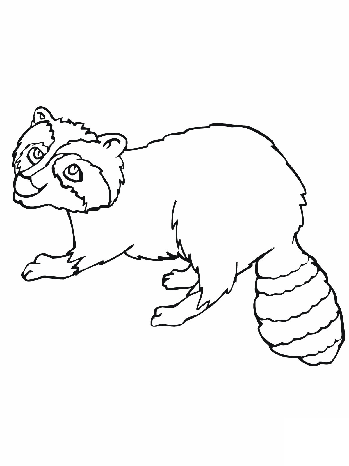 1200x1600 Free Printable Raccoon Coloring Pages For Kids