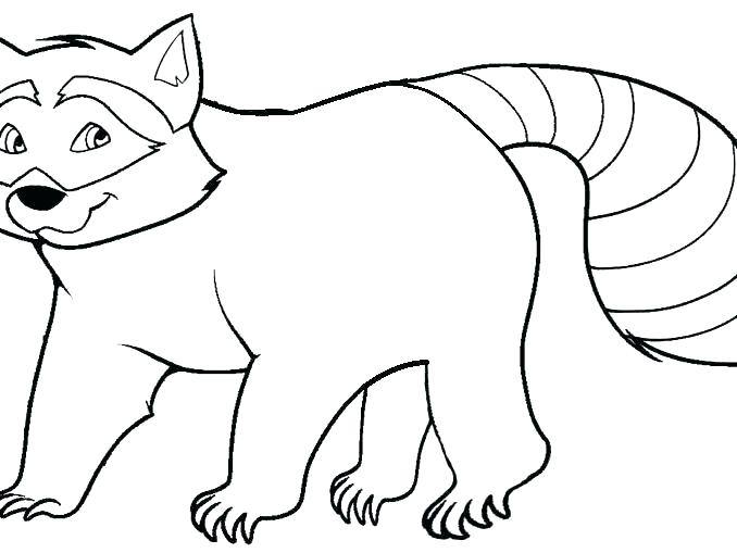 678x509 Raccoon Coloring Page Raccoon Coloring Pages Raccoon Coloring Page