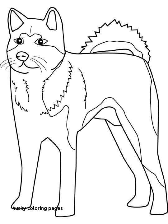 540x720 Rachel Coloring Pages Free Coloring Pages