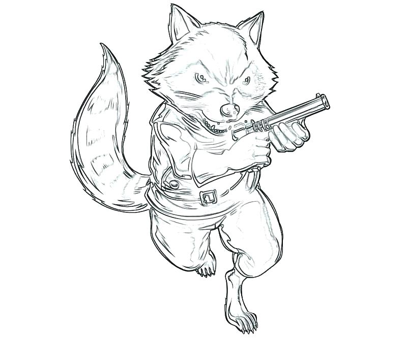 800x667 Raccoon Coloring Page