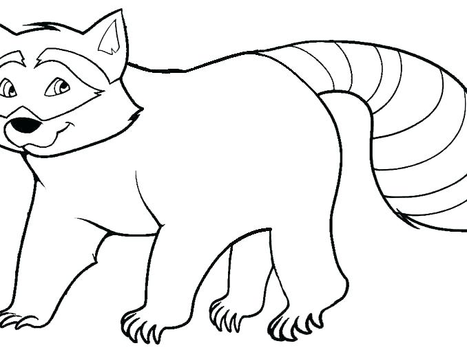 678x509 Racoon Coloring Page Elegant Coon Coloring Page Kids Pages