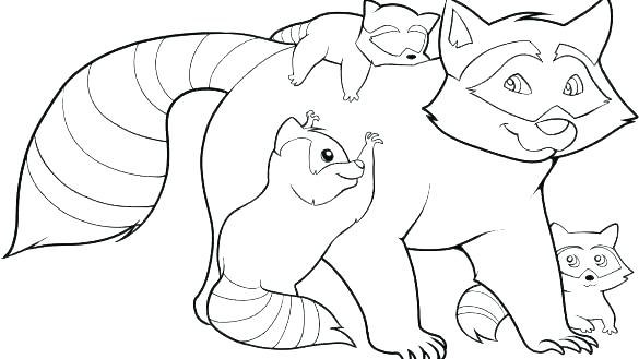 585x329 Coloring Page Coloring Page Raccoon Coloring Pages Raccoon