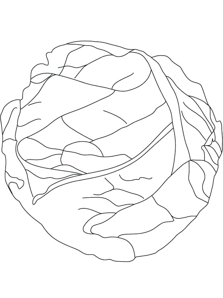 750x1000 Lettuce Coloring Page Lettuce Coloring Page Radish Coloring Pages