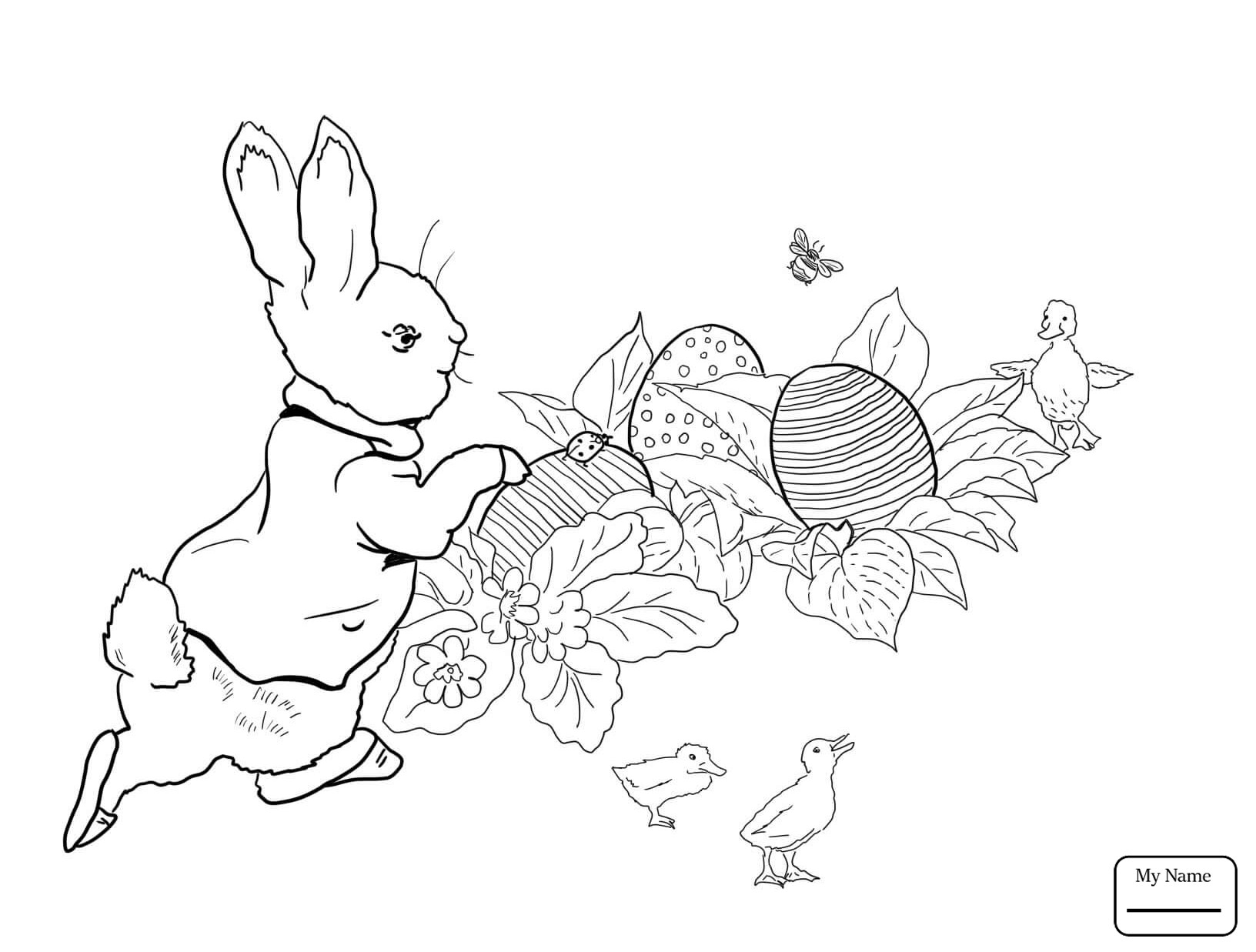 1632x1237 Best Of Peter Rabbit Coloring Pages Gallery Printable Coloring Sheet