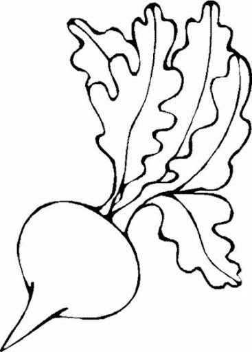 367x512 Radish Coloring Page