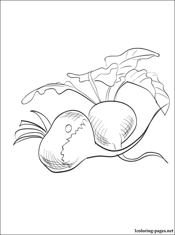 560x750 Radish Coloring Page Coloring Pages
