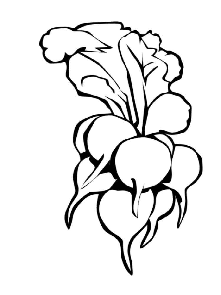 750x1000 Radish Coloring Pages. Download And Print Radish Coloring Pages