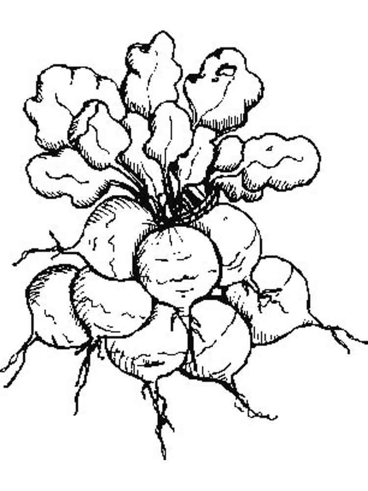 750x1000 Vegetables Radish Coloring Page 11