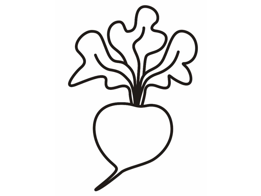 1024x768 Cloring pages Radish Colouring Pages Coloring Pages