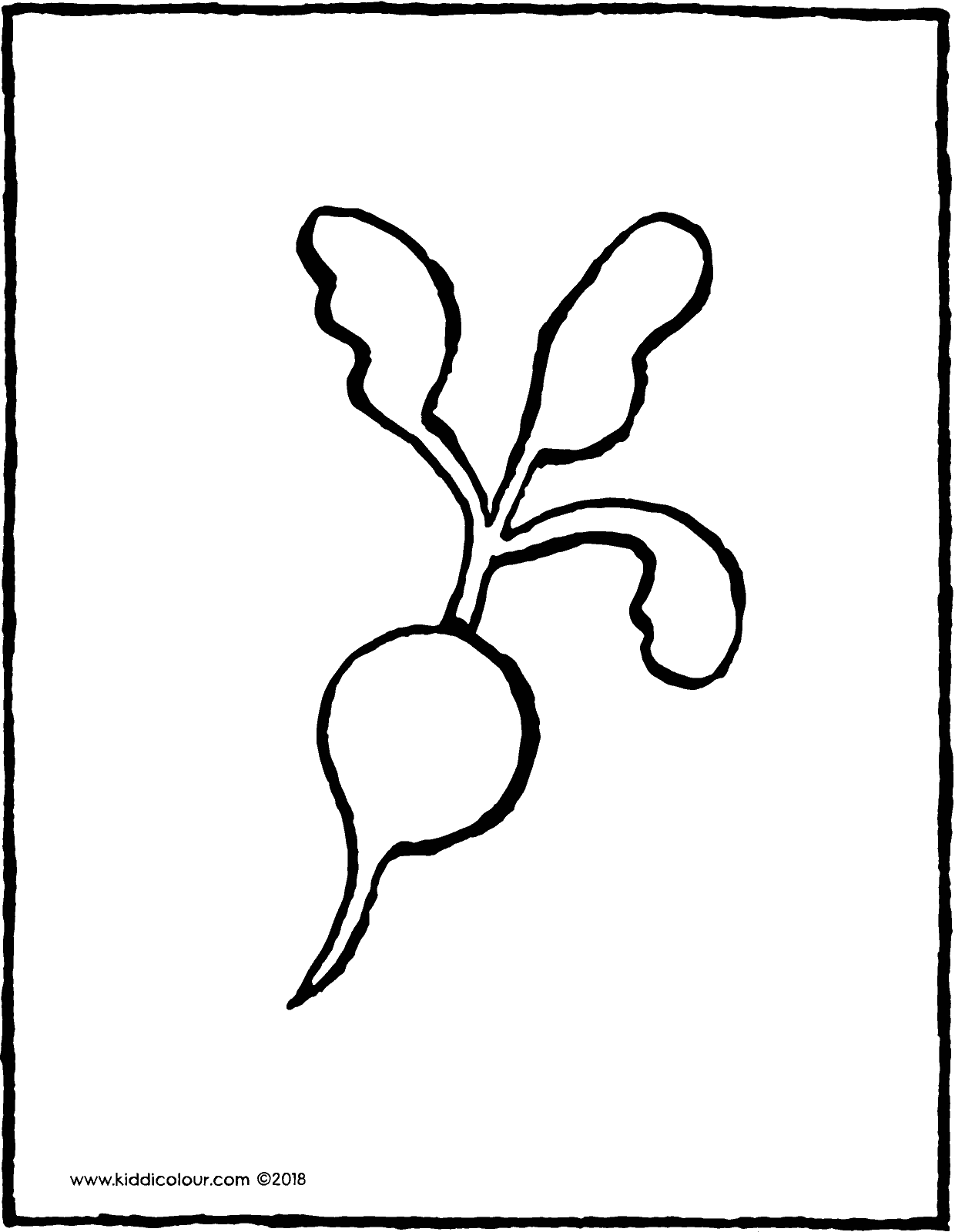 1240x1600 Radish