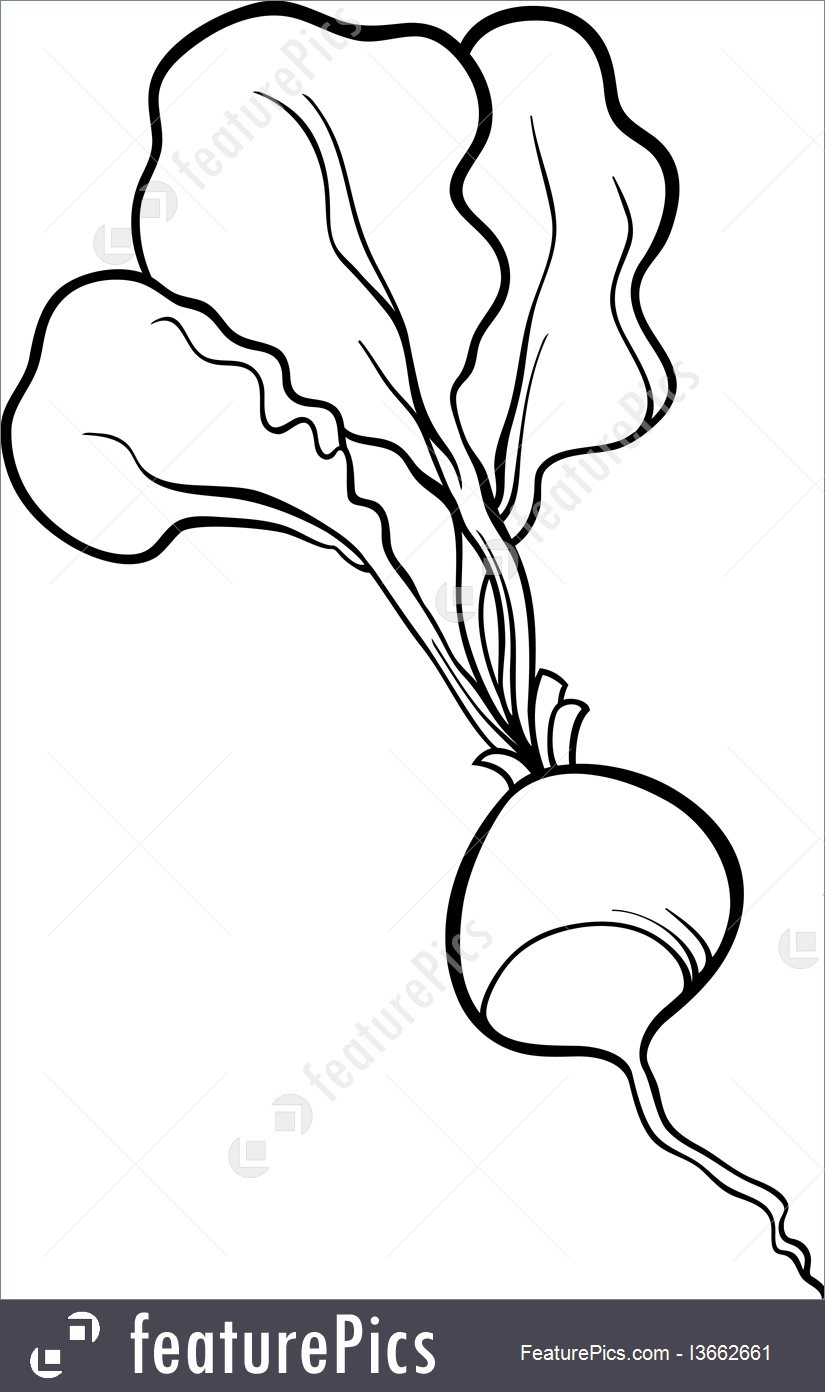 825x1392 Food Radish Vegetable Cartoon For Coloring Book