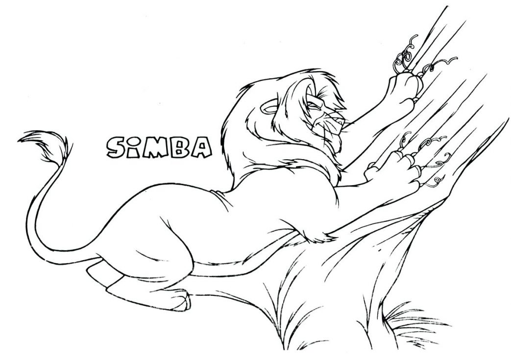 1043x737 Lion King Coloring Pages Mufasa The 2 Pride Assigns And To Rafiki
