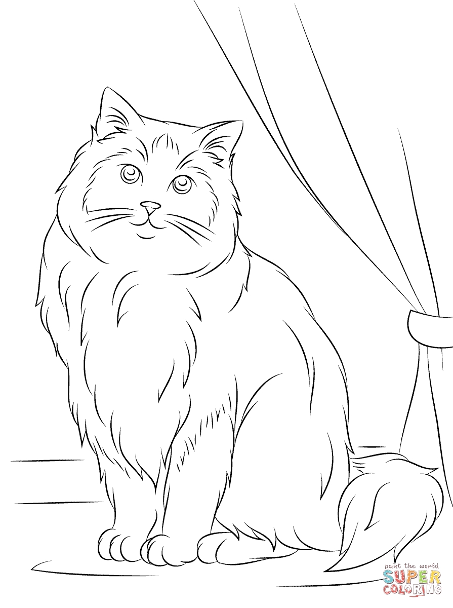 895x1200 Himalayan Cat Coloring Pages Collection Coloring For Kids 2018