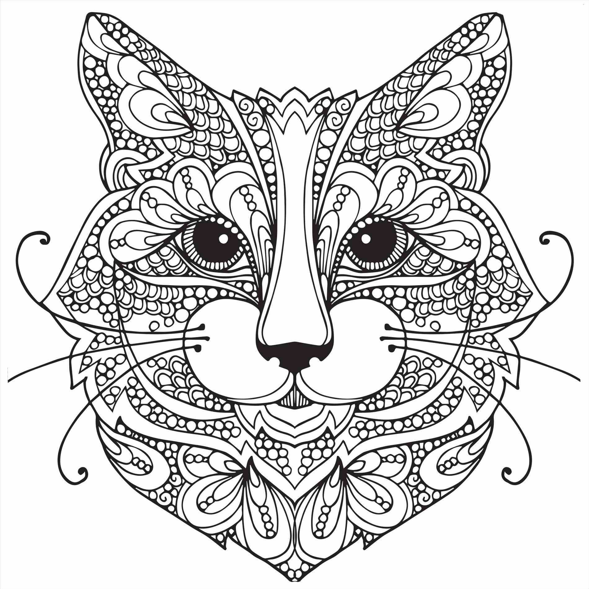 1900x1900 Marvelous Pete The Cat Coloring Page Momjunction Pics Of Ragdoll