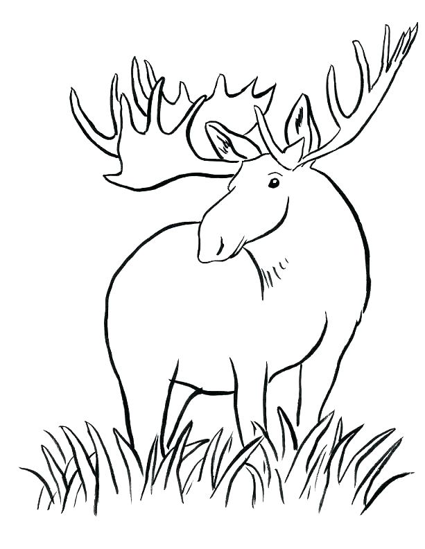 613x792 Coloring Pages Underground Railroad Coloring Pages Coloring Pages