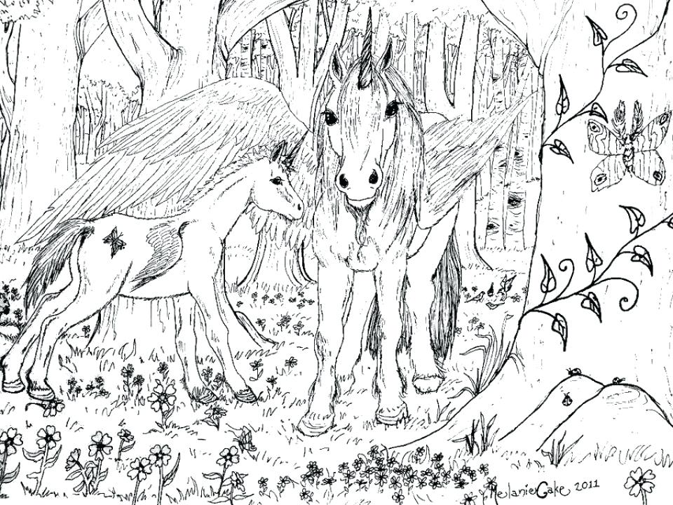 960x720 Printable Unicorn Coloring Pages Plus Unicorn And Rainbow Coloring