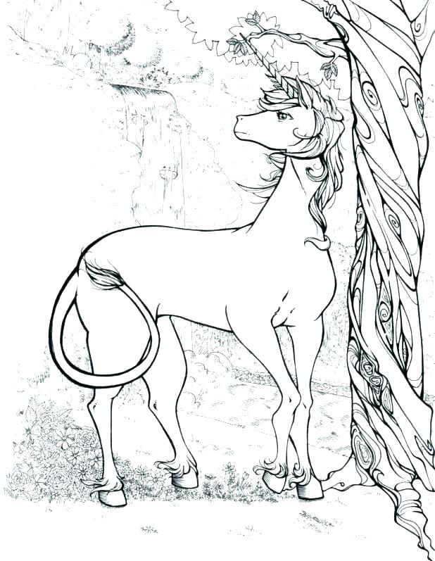 618x797 Unicorn Rainbow Coloring Pages Also Printable Unicorn Rainbow
