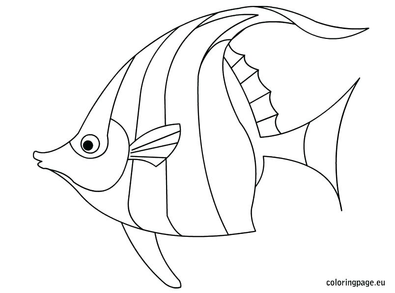 804x595 Rainbow Fish Coloring Page Pdf Color Tropical Book Pages
